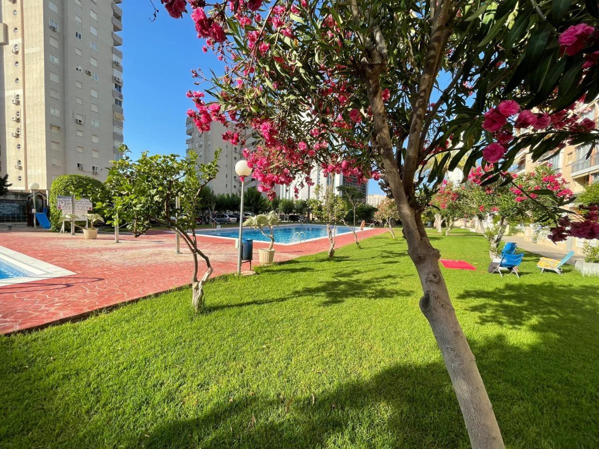 Beach Studio Apartment Hannibal La Cala Finestrat Benidorm Exterior foto